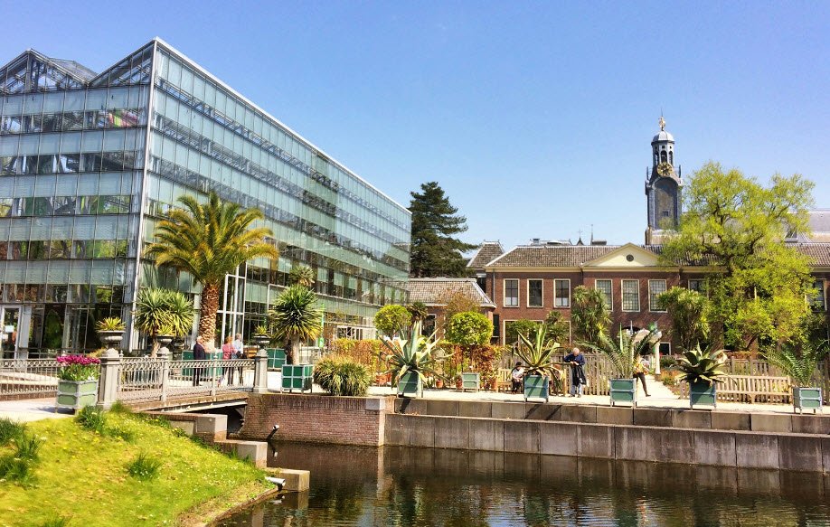 Hortus Botanicus Leiden, Netherlands